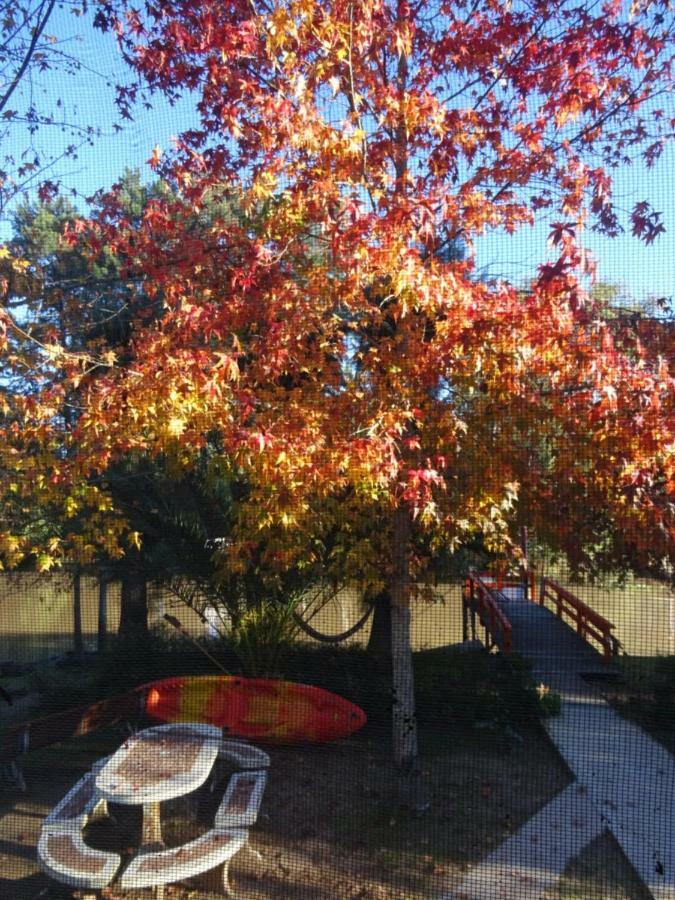 Gaia Hostal Tigre Zewnętrze zdjęcie